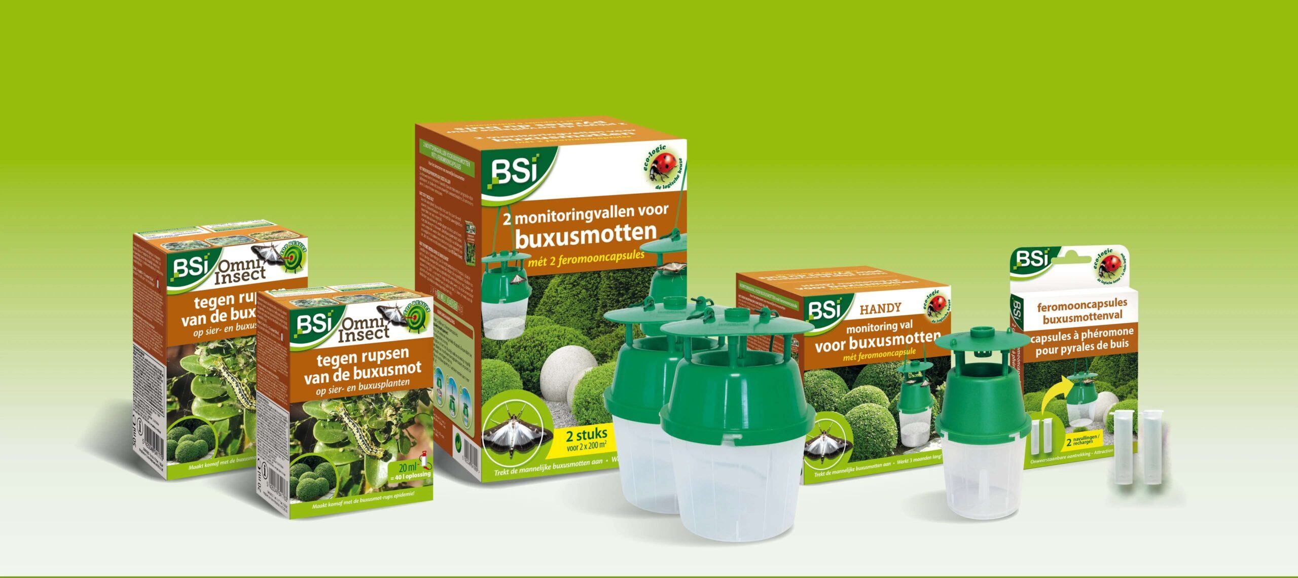 Plant Zorg Winkel -Plant Zorg Winkel 774658119 c525a57a3c147d5663f0f8 1 scaled e1763019346946