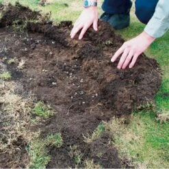 DCM Heteri-Guard - Aaltjes Tegen Engerlingen In Gazon - Voor 10 M² -Plant Zorg Winkel aaltjes tegen engerlingen 10 m 1664370204 2 600