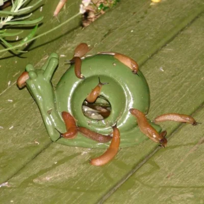 ESSCHERT DESIGN Slakkenval Keramiek - Groen -Plant Zorg Winkel actie super slakkenval 1484052737 1 600