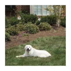 Pet Safe Outdoor Anti-blafhuisje -Plant Zorg Winkel antiblafhuisje 1484054468 4 600