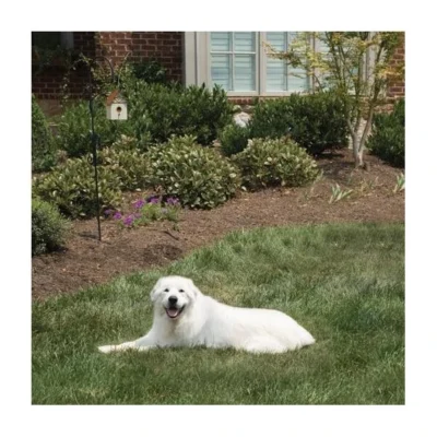 Pet Safe Outdoor Anti-blafhuisje -Plant Zorg Winkel antiblafhuisje 1484054468 4 600