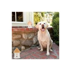 PetSafe Anti-blafhuisje Met Timerfunctie