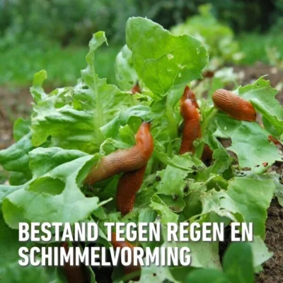 Compo Bio Anti-slakkenkorrels Voor 400 M² - 2 Kg 9 Compo Bio Anti-slakkenkorrels Voor 400 M² - 2 Kg -Plant Zorg Winkel antislak bio 2 kg 1740479025 4 600