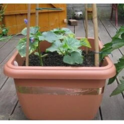 Anti-slakken Kopertape 4 M -Plant Zorg Winkel antislakken kopertape 1484052941 3 600