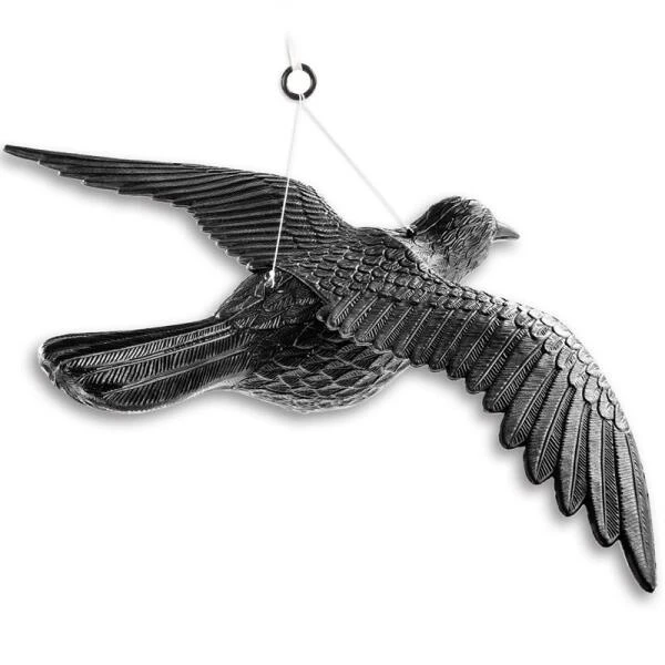 Duivenverjager Vliegende Raaf 8 Duivenverjager Vliegende Raaf - Afbeelding 6