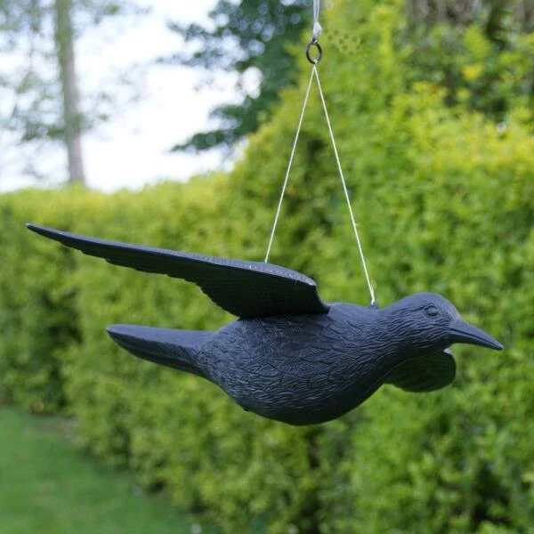 Duivenverjager Vliegende Raaf 4 Duivenverjager Vliegende Raaf - Afbeelding 2