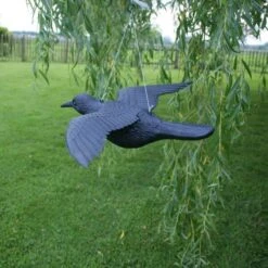 Duivenverjager Vliegende Raaf 10 Duivenverjager Vliegende Raaf -Plant Zorg Winkel duivenverjager vliegende kraai 1495118313 2 600