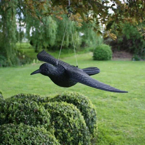 Duivenverjager Vliegende Raaf 6 Duivenverjager Vliegende Raaf - Afbeelding 4