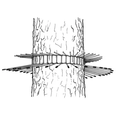 Kattenafweergordel Tot Boomomtrek 70 Cm 9 Kattenafweergordel Tot Boomomtrek 70 Cm -Plant Zorg Winkel kattenafweergordel tot 70 cm 1553681931 3 600