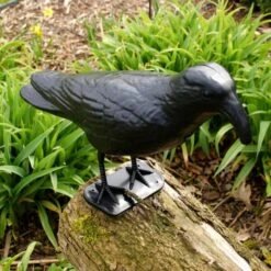 Duivenverjager Kraai Roepend 8 Duivenverjager Kraai Roepend -Plant Zorg Winkel kraai met geluid 1523289337 3 600