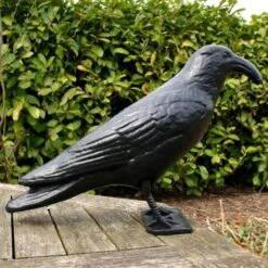 Duivenverjager Kraai Roepend 9 Duivenverjager Kraai Roepend -Plant Zorg Winkel kraai met geluid 1523289337 4 600