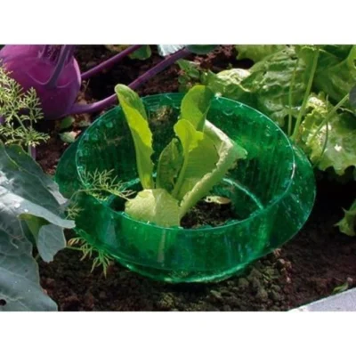 Slakken Beschermringen - Set Van 6 Stuks 7 Slakken Beschermringen - Set Van 6 Stuks -Plant Zorg Winkel slakken beschermingsringen 1484053655 3 600