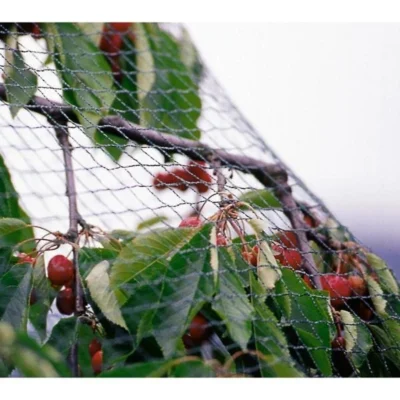 Tuinnet Grofmazig 2 M × 10 M