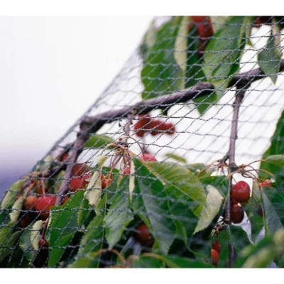 Tuinnet Grofmazig 4 M × 10 M