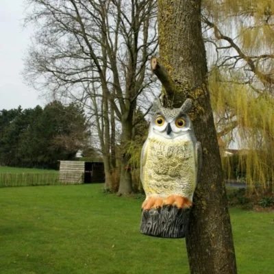 Uil Front - Vogelverschrikker -Plant Zorg Winkel uil front vogelverschrikker 1523282297 1 600