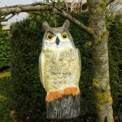 Uil Front - Vogelverschrikker -Plant Zorg Winkel uil front vogelverschrikker 1523282297 2 600