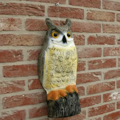 Uil Front - Vogelverschrikker -Plant Zorg Winkel uil front vogelverschrikker 1523282354 1 600