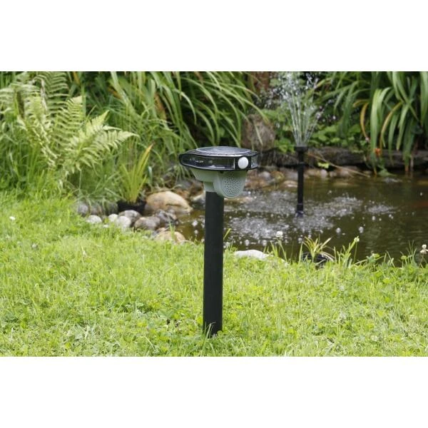 Vogelverjager Met Geluid En Flits 3 Vogelverjager Met Geluid En Flits