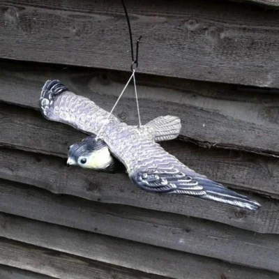 Vliegende Slechtvalk - Vogelverschrikker 7 Vliegende Slechtvalk - Vogelverschrikker -Plant Zorg Winkel vogelverjager slechtvalk 1487069208 0 600