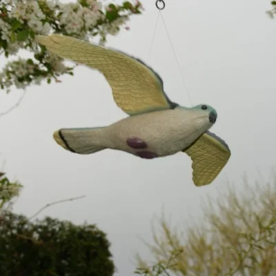 Torenvalk Als Vogelschrik 8 Torenvalk Als Vogelschrik -Plant Zorg Winkel vogelverjager torenvalk 1492582163 2 600