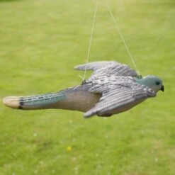 Torenvalk Als Vogelschrik -Plant Zorg Winkel vogelverjager torenvalk 1492582163 3 600