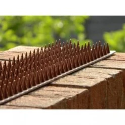 Afweerpinnen Strip Vogels, Katten,... - Bruin 7 Afweerpinnen Strip Vogels, Katten,... - Bruin -Plant Zorg Winkel vogelwering met afweerpinnen 50 cm 1484056943 3 600