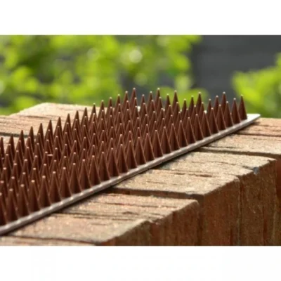 Afweerpinnen Strip Vogels, Katten,... - Bruin 7 Afweerpinnen Strip Vogels, Katten,... - Bruin -Plant Zorg Winkel vogelwering met afweerpinnen 50 cm 1484056943 3 600