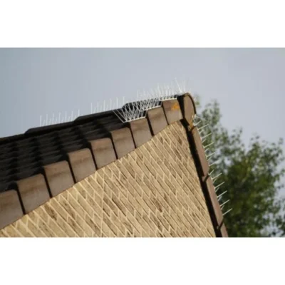 Transparante Weringspinnen Duiven, Kraaien,... - 200 Cm 7 Transparante Weringspinnen Duiven, Kraaien,... - 200 Cm -Plant Zorg Winkel weringspinnen tegen vogels 2 m 1484056017 3 600