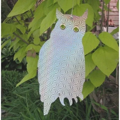 Weringsuilen Hologram - Set Van 6 Stuks