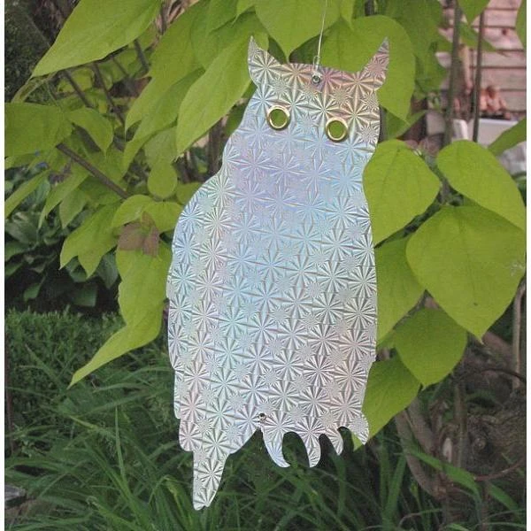 Weringsuilen Hologram - Set Van 6 Stuks 3 Weringsuilen Hologram - Set Van 6 Stuks